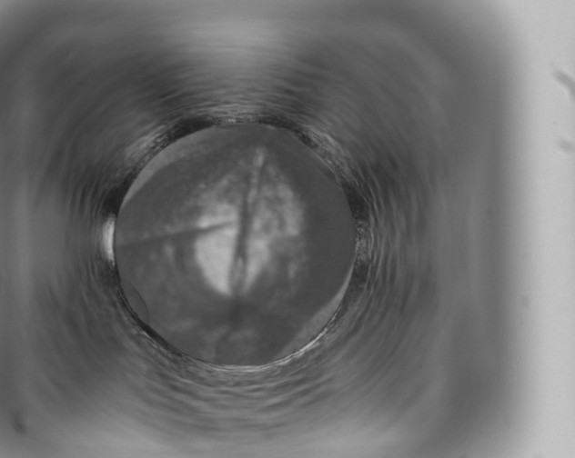 X0000096480047200802141732