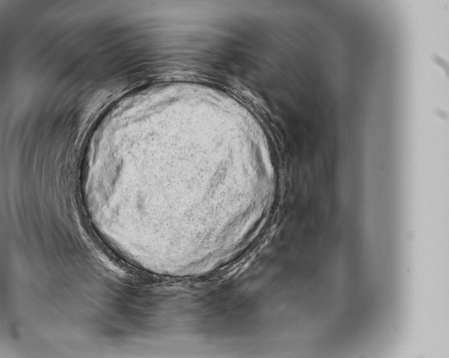 X0000096480049200802141731