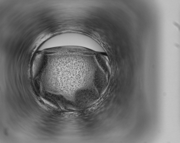 X0000096480050200802141731