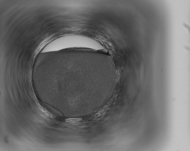 X0000096480051200802141731