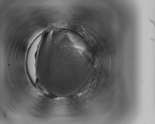 X0000096480052200802141731