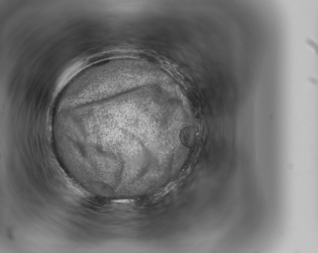 X0000096480053200802141731