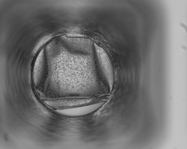 X0000096480054200802141731