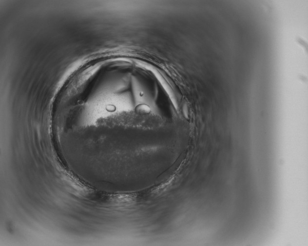 X0000096480056200802141731