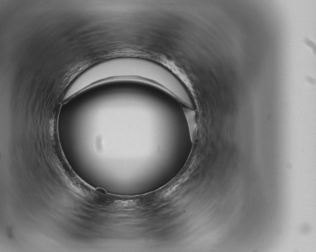 X0000096480057200802141731