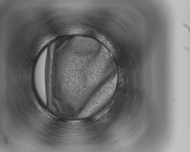 X0000096480058200802141731