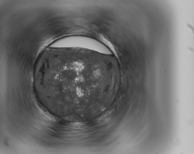 X0000096480059200802141731