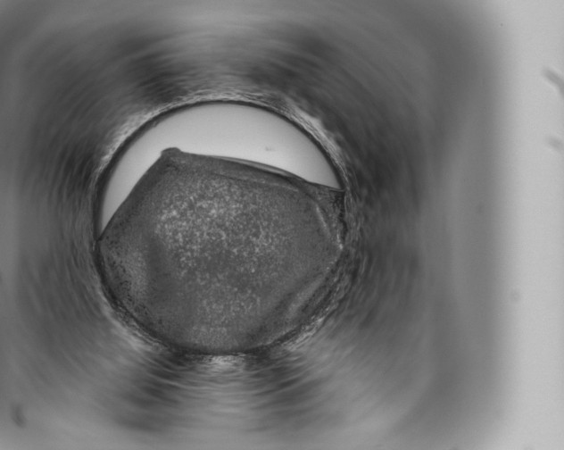 X0000096480060200802141731