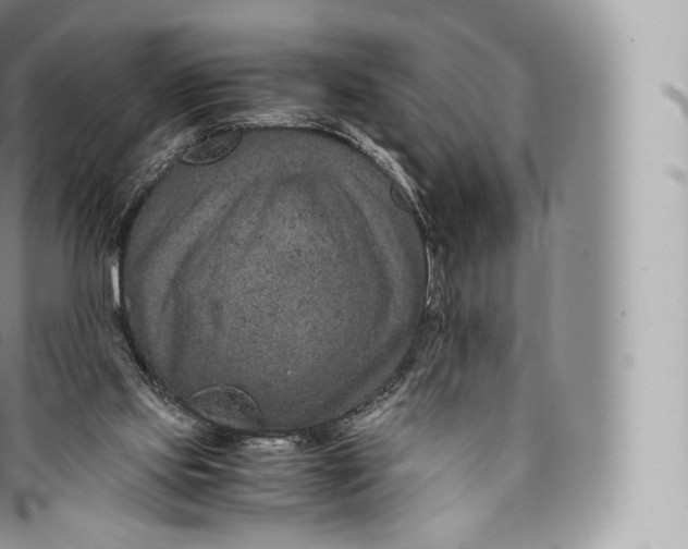 X0000096480061200802141731