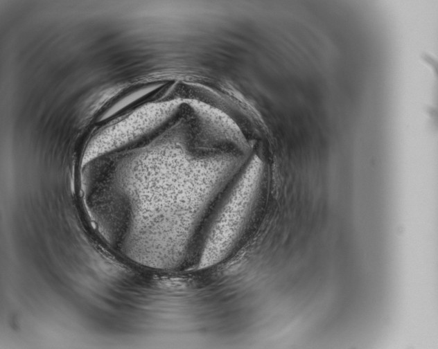 X0000096480062200802141731