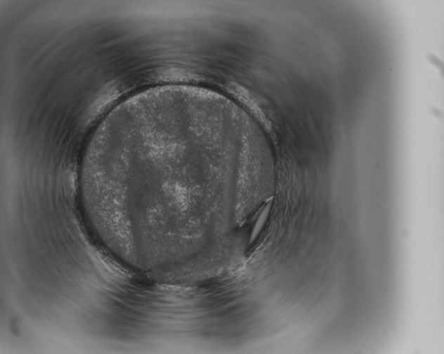 X0000096480063200802141731