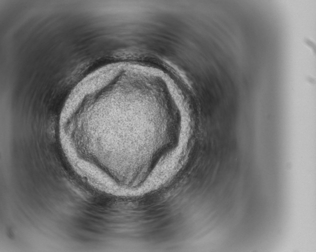 X0000096480065200802141731