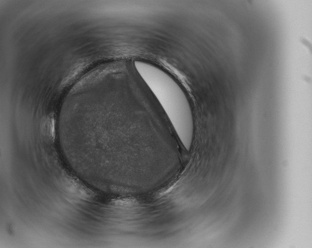 X0000096480067200802141731