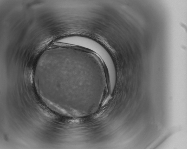 X0000096480068200802141732