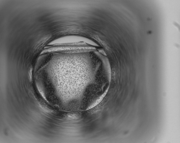 X0000096480070200802141732