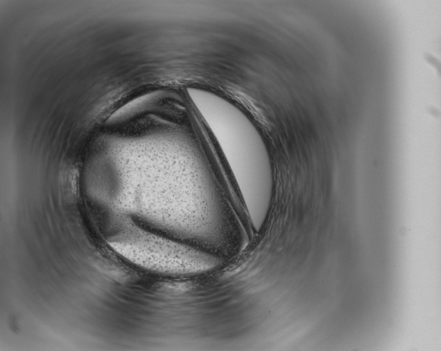 X0000096480071200802141732