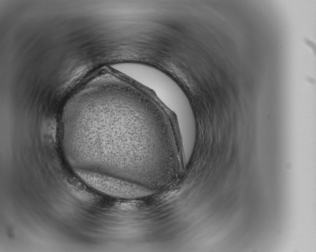 X0000096480072200802141732