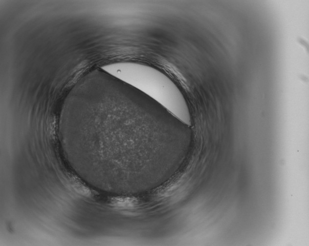 X0000096480073200802141732