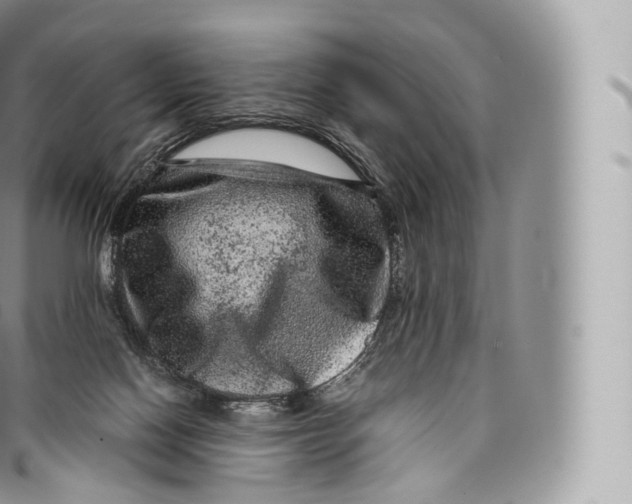 X0000096480074200802141732