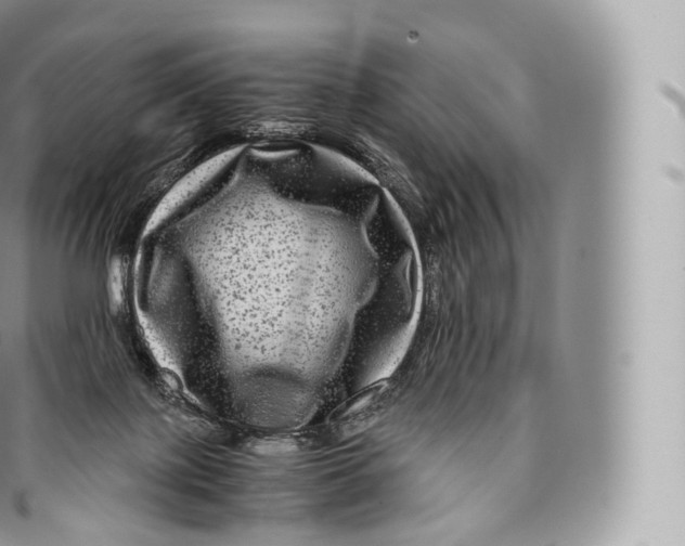 X0000096480075200802141732