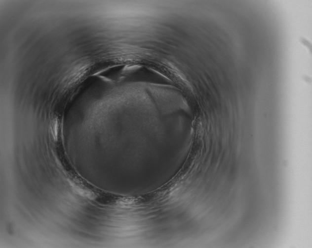 X0000096480076200802141732