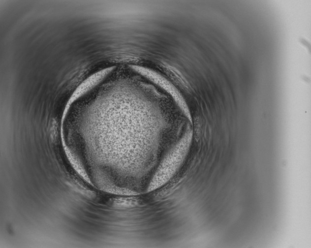 X0000096480077200802141732