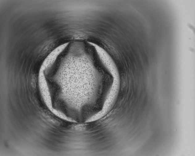 X0000096480078200802141732