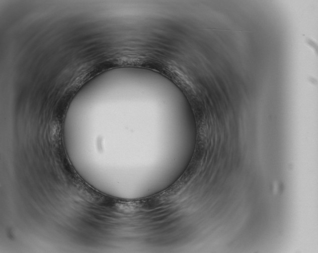 X0000096480079200802141732