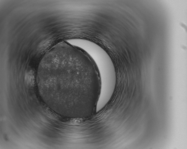 X0000096480080200802141732