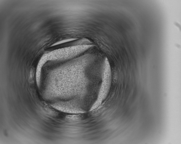 X0000096480082200802141732