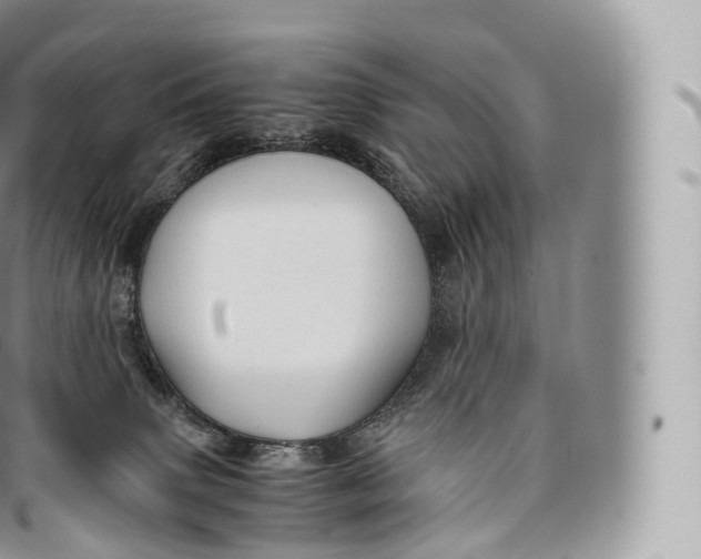 X0000096480083200802141732