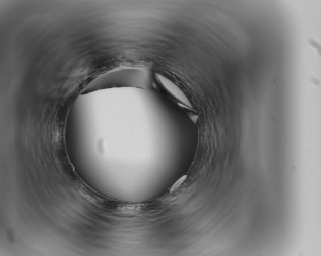 X0000096480084200802141732