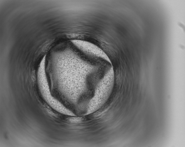 X0000096480085200802141732