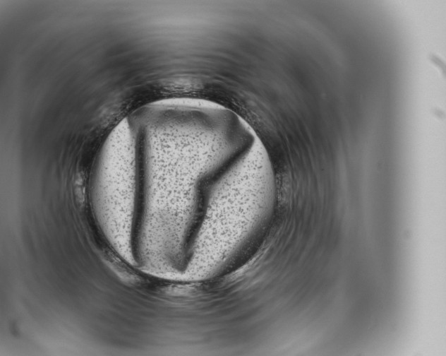 X0000096480086200802141732