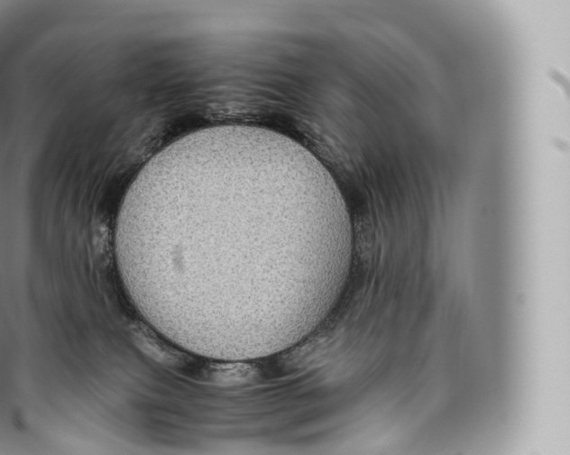 X0000096480087200802141732