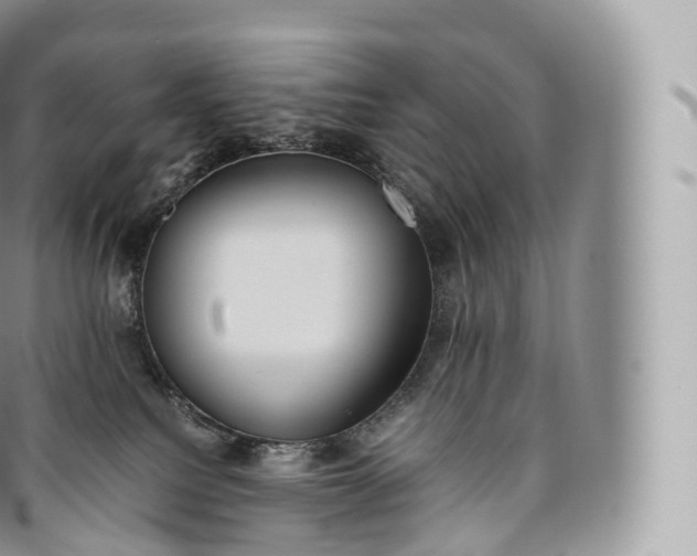 X0000096480088200802141732