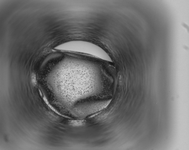 X0000096480089200802141732