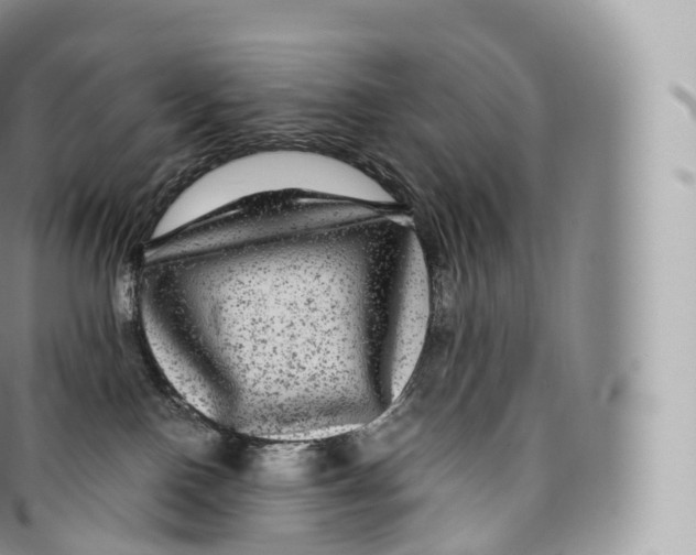 X0000096480090200802141732