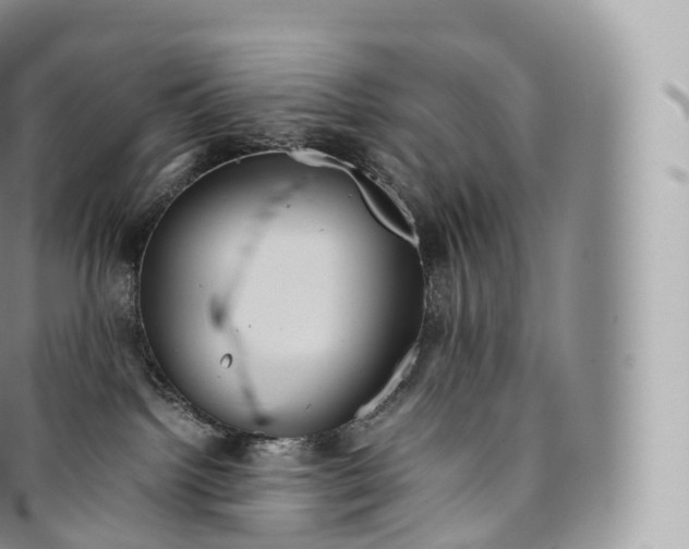 X0000096480092200802141732