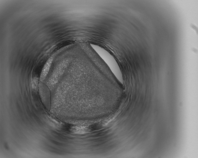 X0000096480093200802141732