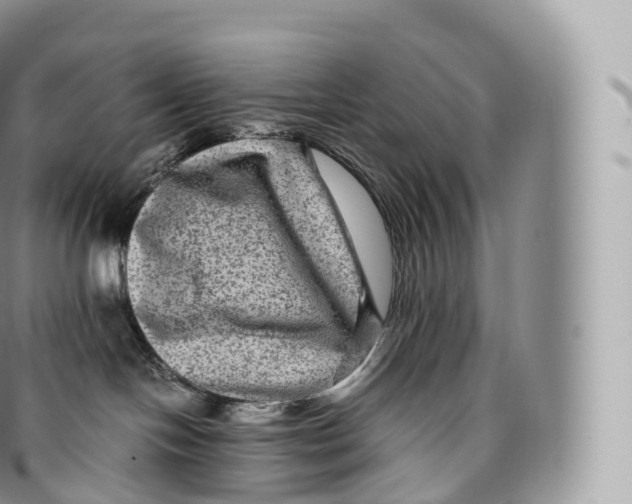 X0000096480094200802141732