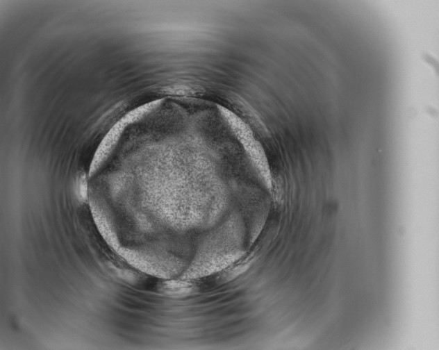 X0000096480095200802141732