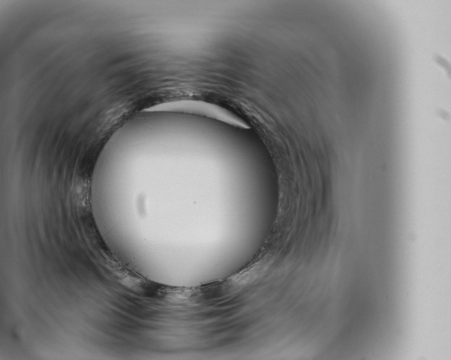 X0000096480096200802141732