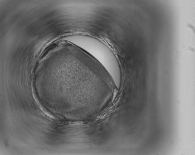 X0000096480097200802141731