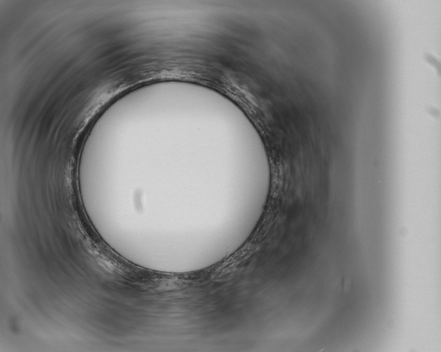 X0000096480098200802141731