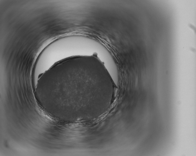 X0000096480100200802141731