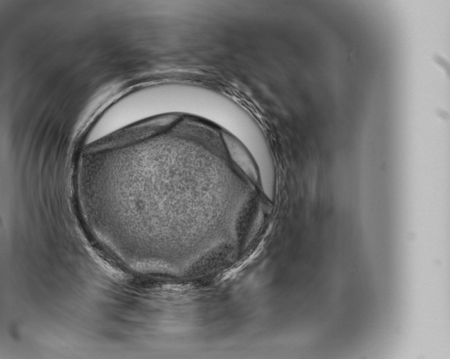 X0000096480101200802141731