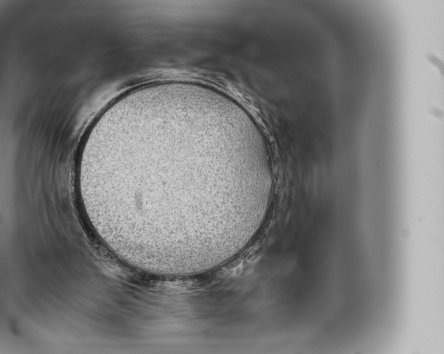 X0000096480103200802141731