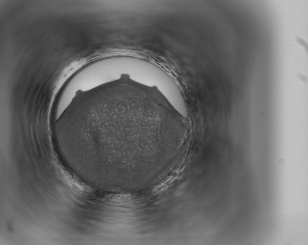 X0000096480104200802141731