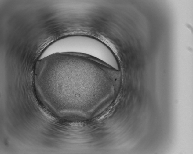 X0000096480105200802141731